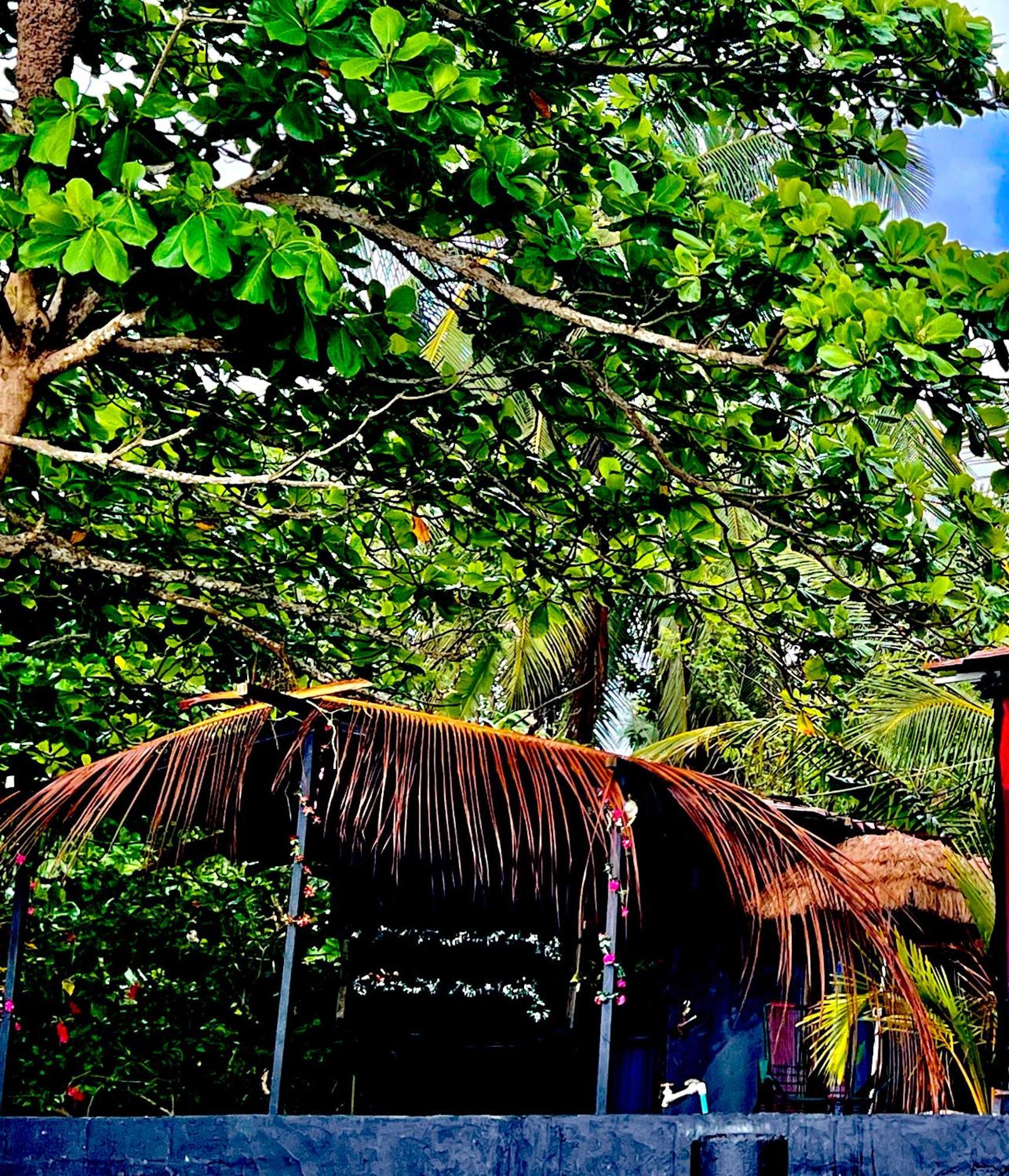 Beachfront Paradise Manuel Antonio Esterno foto