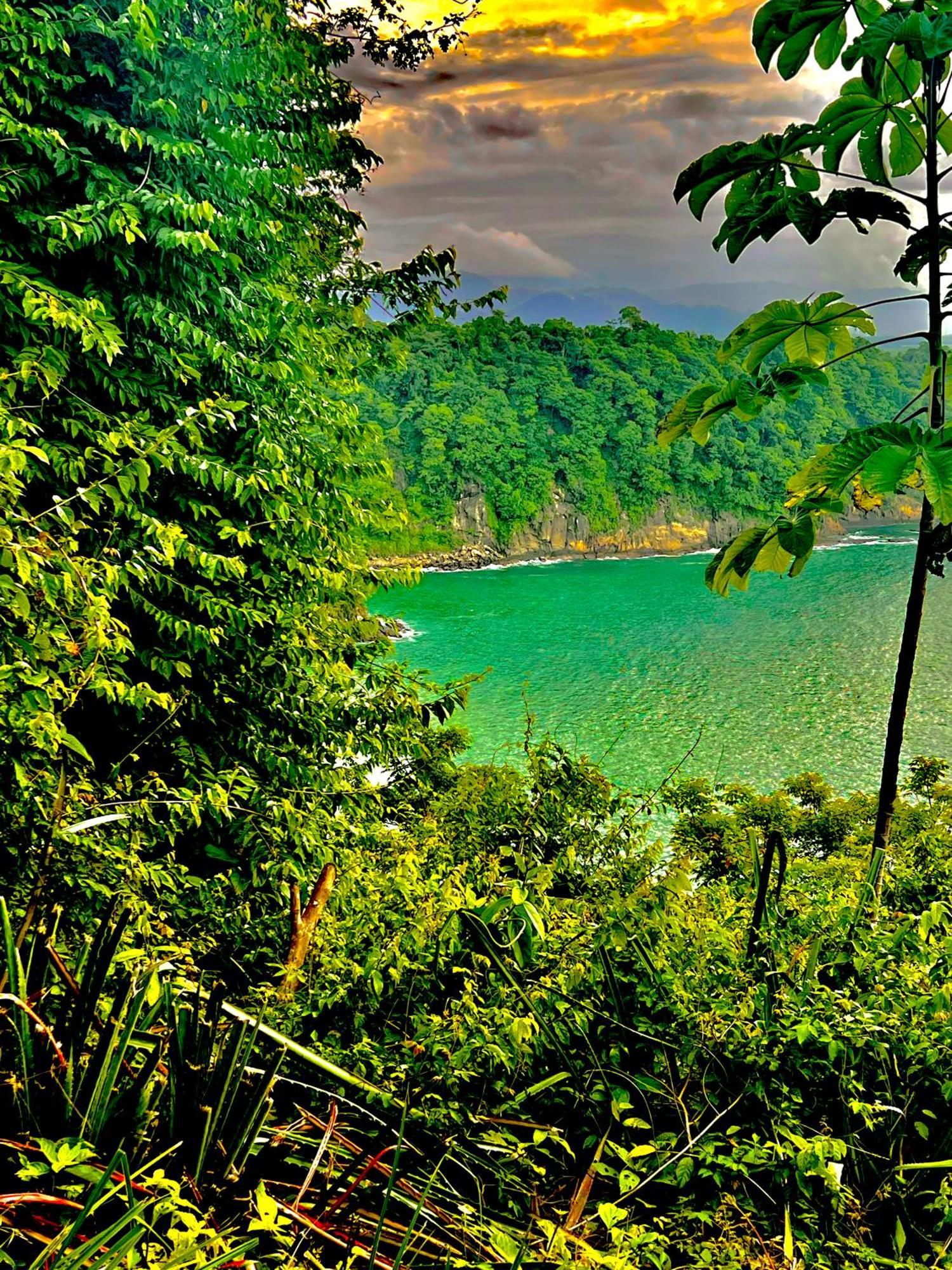 Beachfront Paradise Manuel Antonio Esterno foto
