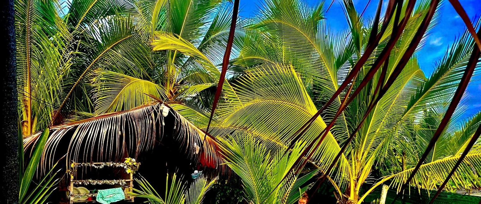 Beachfront Paradise Manuel Antonio Esterno foto